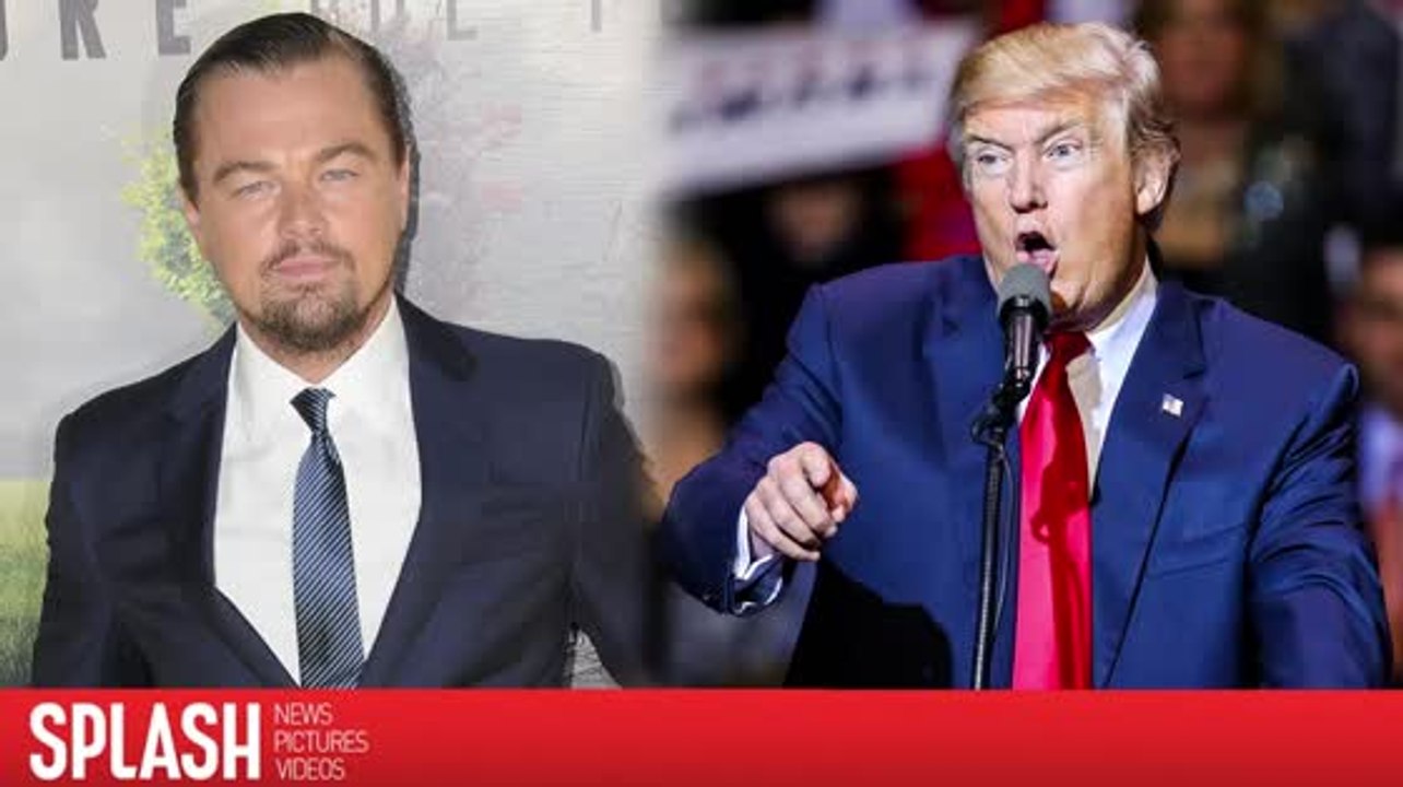 Leonardo DiCaprio spricht mit Donald Trump über den Umweltschutz