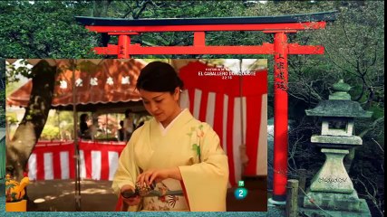 Japón, El regreso a las raíces.