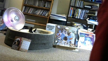 Thursday, December 8th Live!