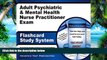 Online NP Exam Secrets Test Prep Team Adult Psychiatric   Mental Health Nurse Practitioner Exam