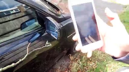 Which One ? Nike or Adidas ?