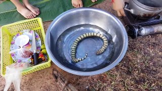 Amazing beautiful girl cooking water snake with Angkor Beer  a| How to cook water snake in cambodia