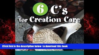 Pre Order 6 C s for Creation Care: Creation, Christ, Creativity, Combustion, Climate, Connect