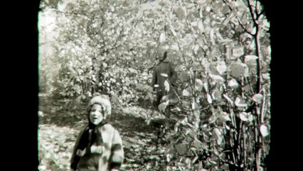 Любительская съёмка. 1967 год