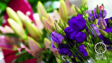 Jardin - Des fleurs 24h/24