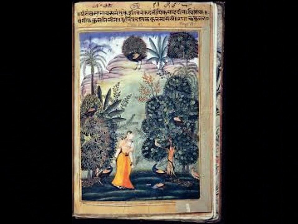 WikiSitar/ Raag Rageshree drut gat   ~  Antar Richard Garneau ~ sitar