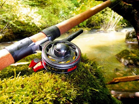 Vidéo 2016 du forum la truite et les carnassiers