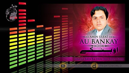 Pashto New Songs 2017 Ameen Ulfat Volume 713 - Janana Baya Ba Diya Digi