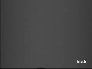 Soutien du Sultan du Maroc au FLN