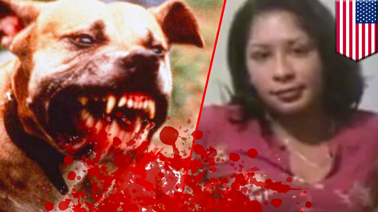 Pit bull shot by cops and put down after severely mauling owner