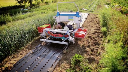 Prix Artinov 2016 catégorie Technologie : Touti Terre à Rumilly