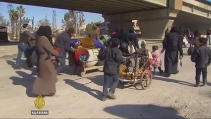 Residents flee as Syrian army 'suspends' attacks in Aleppo