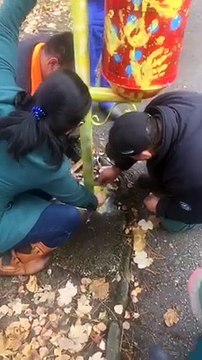 во Струга се реализира акција за поставување на изложба од корпи за отпадоци низ целиот град