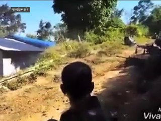 মিয়ানমারে নিরাপত্তা ও সশস্ত্র বাহিনীর সংঘর্ষে এ মাসে নিহত ১১