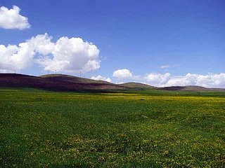 Sevilay GENÇ - Kara Bahtım (Uzun Hava) 2000