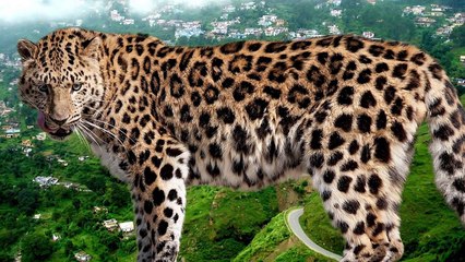 10 Serial Killers That Were Never Caught