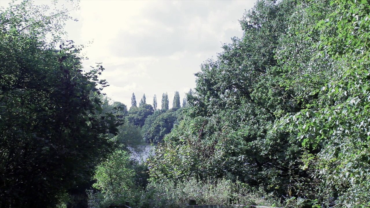ALONE-HD