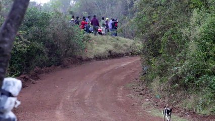 Very lucky dog must watch