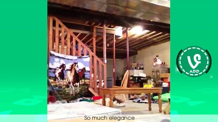 Try Not To Laugh or Grin - Funny Kids Fails Vines Compilation 2016 (Part 9)