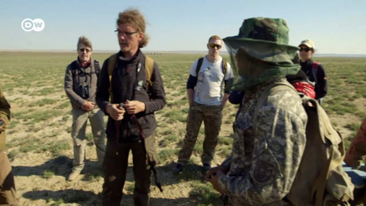 Das Rätsel um die toten Saiga-Antilopen | Projekt Zukunft