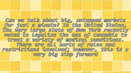 Pot In NY: Every Product Manager's Dream