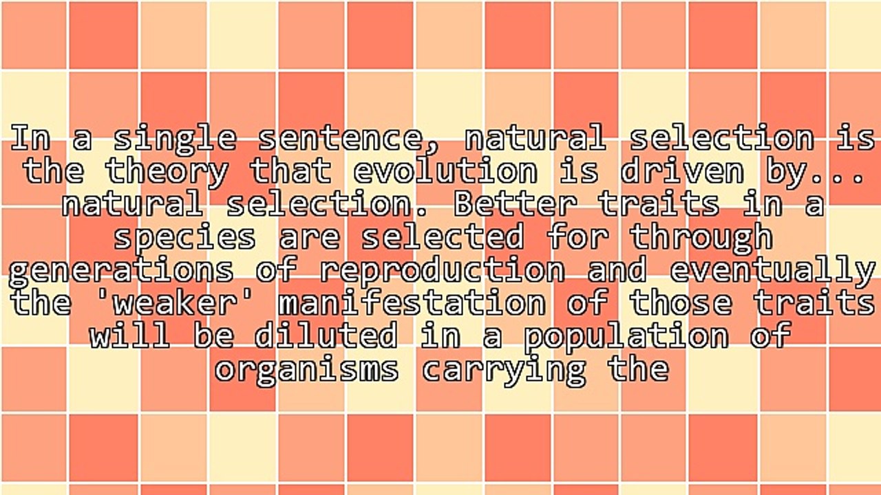 Boost Your Marketing Using Darwin's Theory Of Evolution