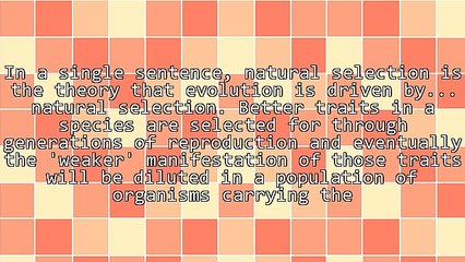 Boost Your Marketing Using Darwin's Theory Of Evolution