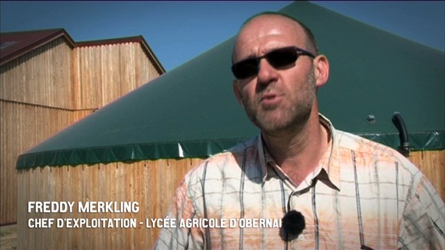 L'agro-écologie dans le lycée agricole d'Obernai