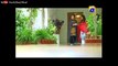 Meri Saheli Meri Bhabhi - Episode 110 _ Har Pal Geo