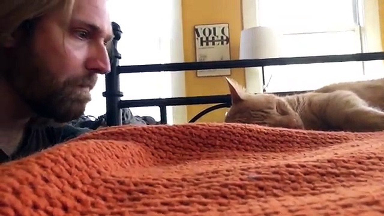 Son chat le réveille chaque nuit, il se venge pendant sa sieste