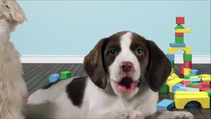 Happy birthday sweetheart