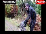 When Animals Attack - Funny Compilation - Funny Animal Attack - Animals Attacking Humans 2015