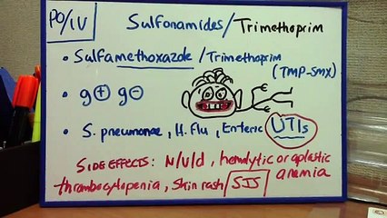 ANTIFOLATE, GYRASE INHIBITORS AND FLUOROQUINOLONES
