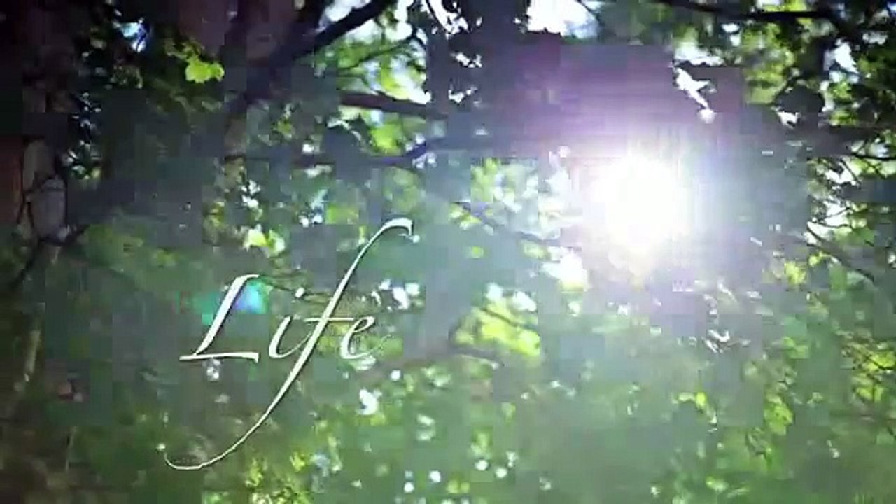 intro - channel trailer