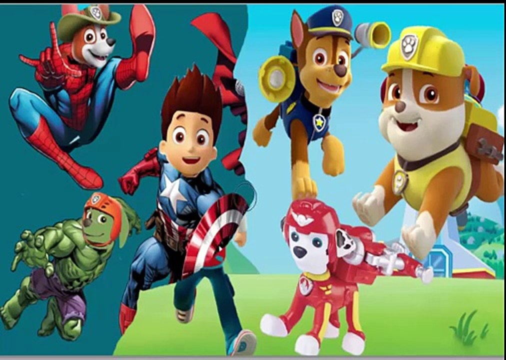 Funny Paw Patrol in marvel super heroes hulk ironman captain america thor transforming spiderman