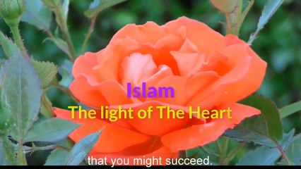 Jesus (A.S)'S Birth In Quran Contradicts With Science ~ Dr Zakir Naik