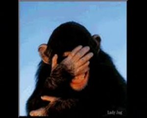 Chanson FAUT RIGOLER