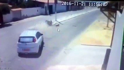 Esto fue lo que le pasó a un motorizado luego de tener un accidente