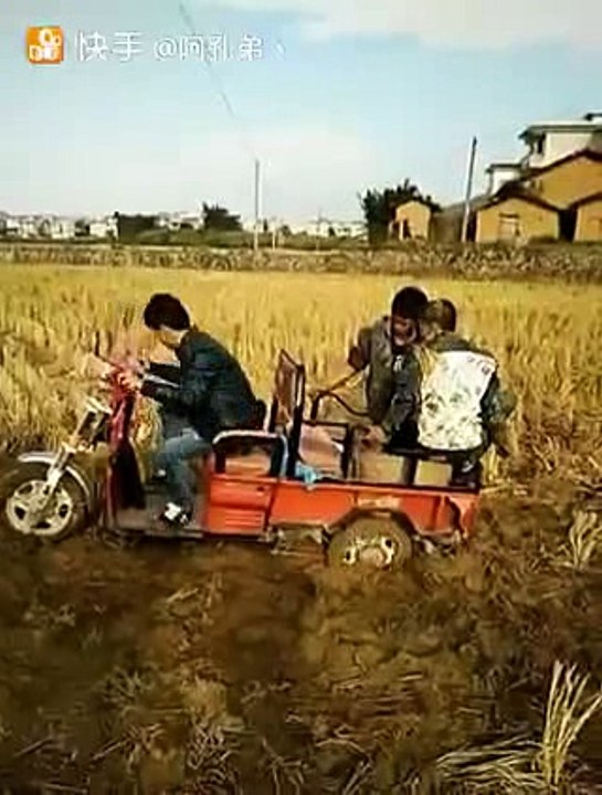 笨啊