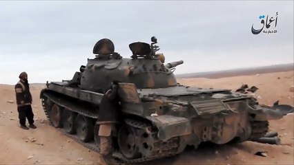 تنظيم الدولة يتقدم في محيط مدينة تدمر