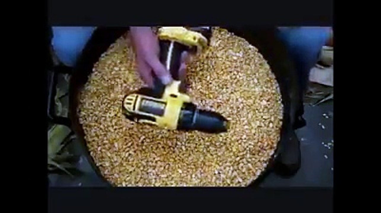 Removing Bhutta Corns  from the Cob