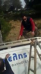 Vozeći se cestom ugledali su nešto veliko na žicama dalekovoda. Ovako nešto nikada nisam vidio!