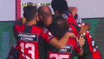 Walter Andrade Goal HD Aldosivi 0-1 Patronato 09.12.2016