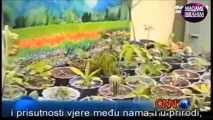 Flower Blooms when Azan Starts, Closes when Azan Stops