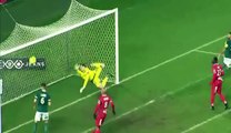 Red Star FC 2-1 Valenciennes FC - Tous Les Buts (9.12.2016) - Ligue 2