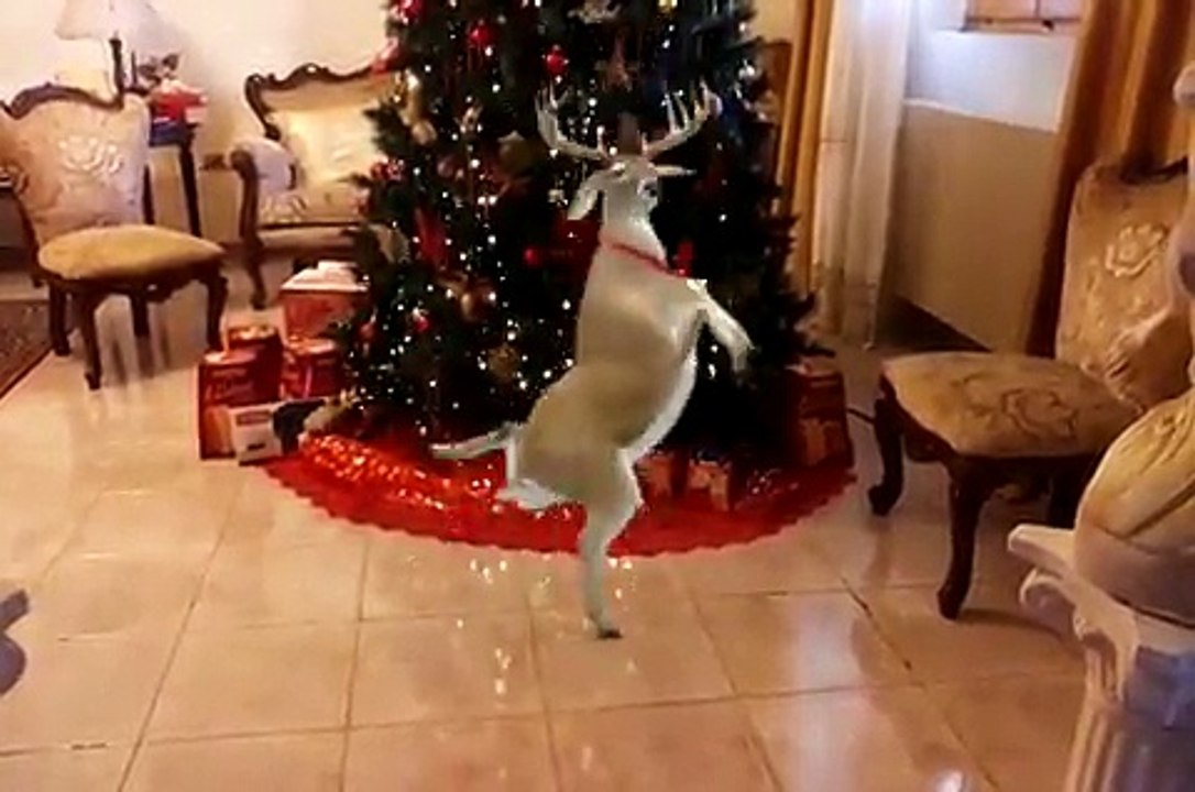 MUSICA DE NAVIDAD