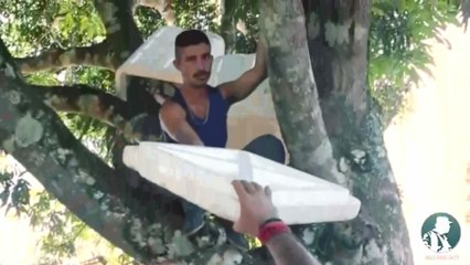 Las FARC dejan a un lado los fusiles y se suman al 'Mannequin Challenge'