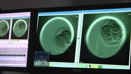 توسع مجالات الأبحاث العلمية لعلاج العقم ومشاكل الخصوبة