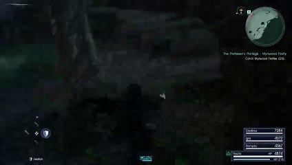 FFXV Endgame Runabout Random Tasks again (17)