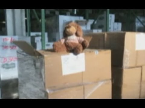 Genova Giocattoli pericolosi, sequestrati oltre 2 500 orsacchiotti di peluche 09 12 16
